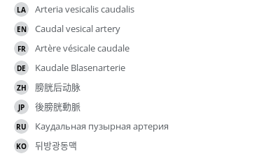 Translations
