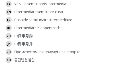 Translations