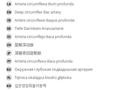 Translations