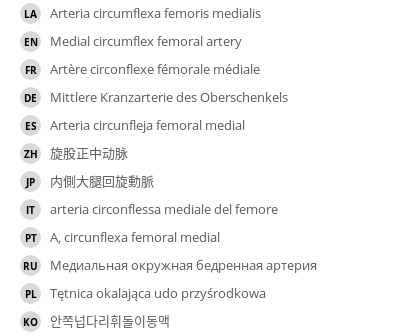 Translations