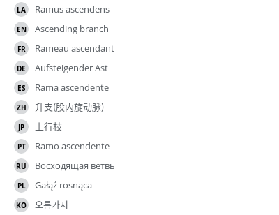 Translations