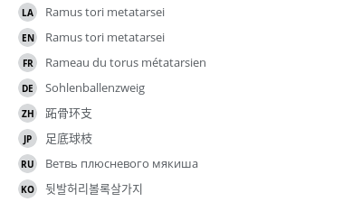 Translations