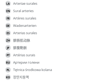 Translations