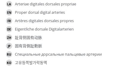Translations