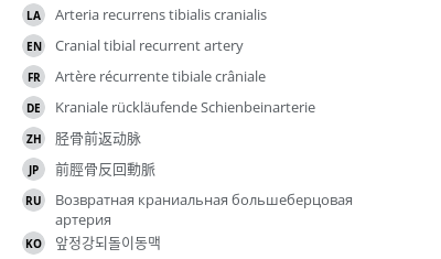Translations