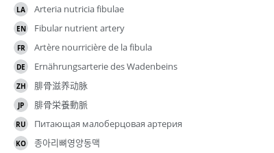 Translations
