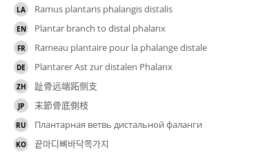Translations