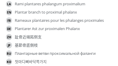 Translations