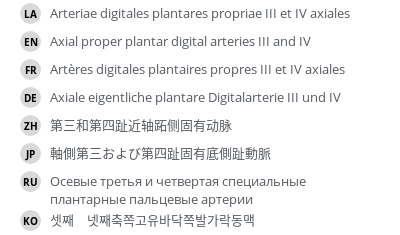 Translations