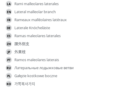 Translations