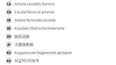 Translations
