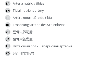 Translations