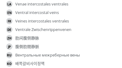 Translations