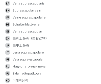 Translations