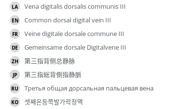 Translations