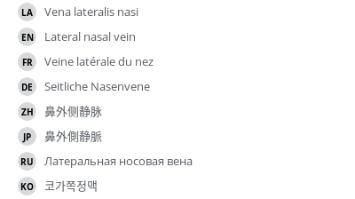 Translations