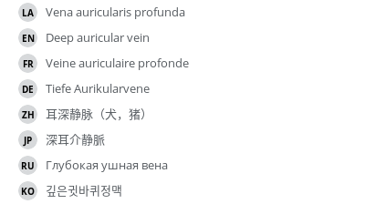 Translations