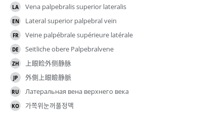 Translations