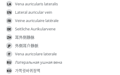 Translations