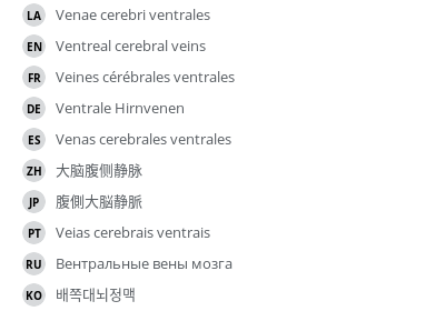 Translations