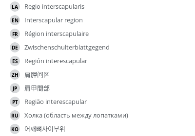 Translations