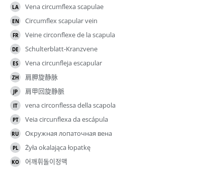 Translations