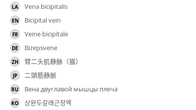 Translations