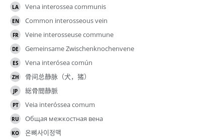 Translations