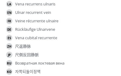 Translations
