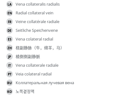 Translations