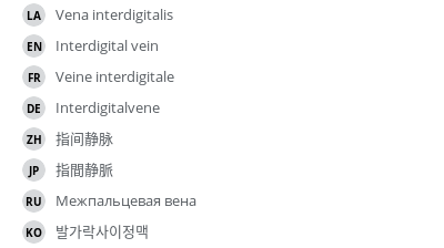 Translations
