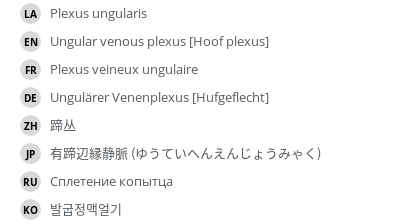 Translations