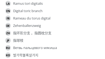 Translations