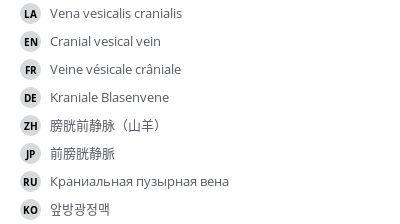 Translations