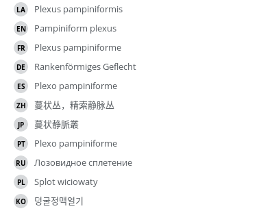 Translations