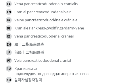Translations