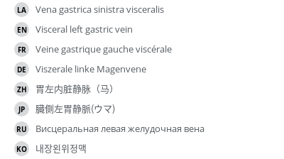 Translations