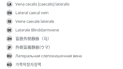 Translations