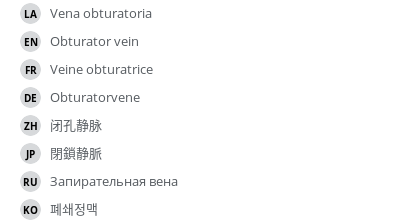 Translations