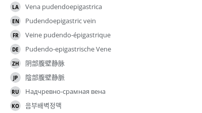 Translations