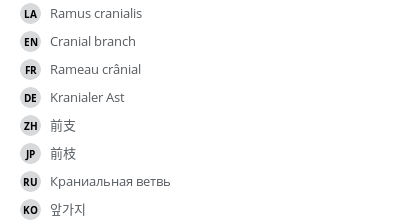 Translations