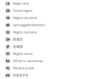 Translations