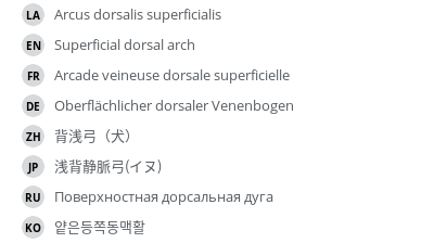 Translations