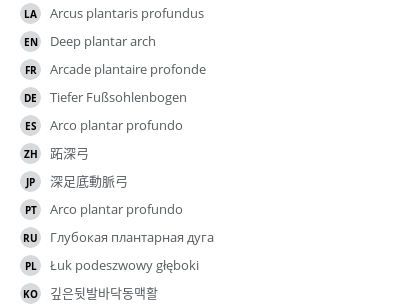 Translations