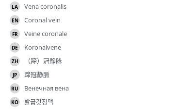 Translations