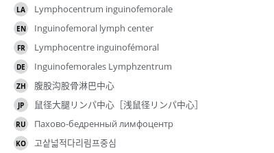 Translations