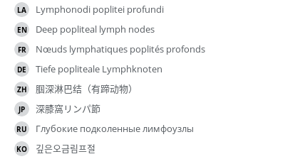 Translations