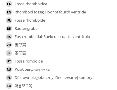 Translations