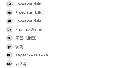 Translations