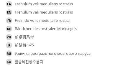 Translations